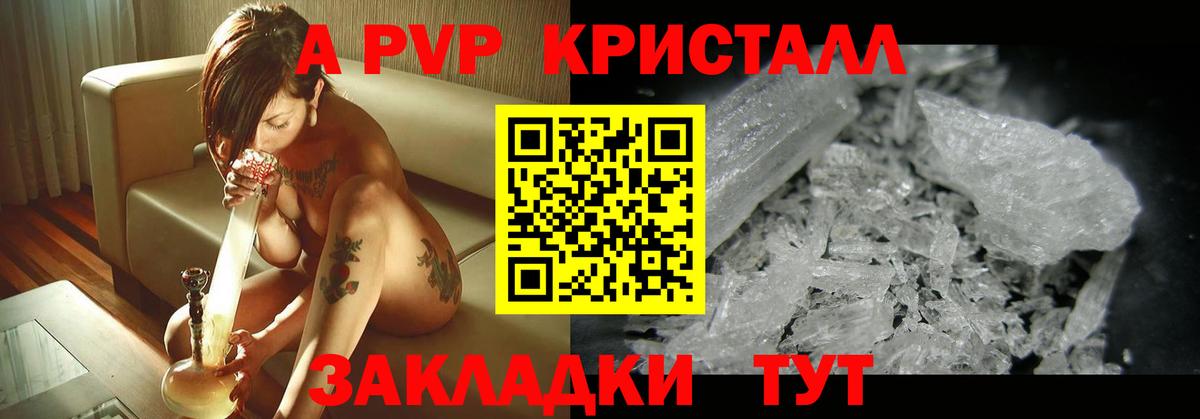 Alfa_PVP СК Санкт-Петербург