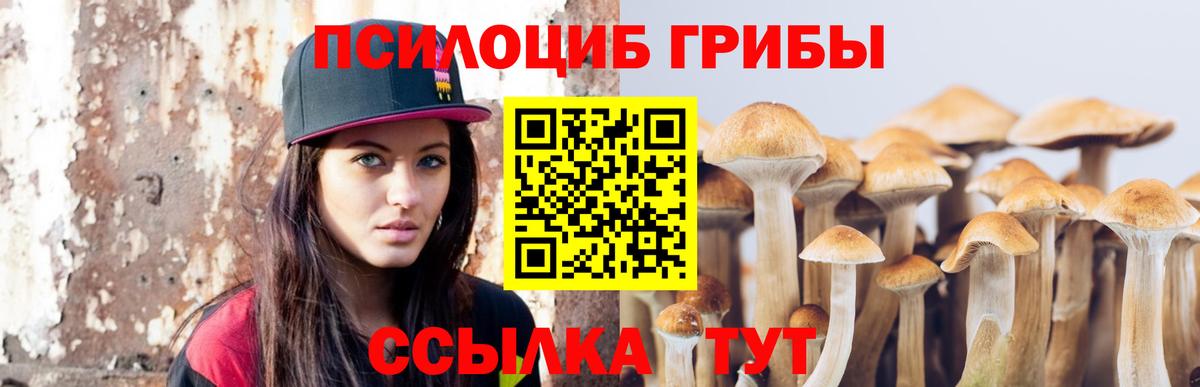 Санкт-Петербург  Галлюциногенные грибы прущие грибы  Вход с VPN  Галлюциногенные грибы MAGIC MUSHROOMS 